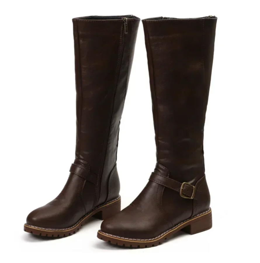 Pair of brown knee-high boots on a white background